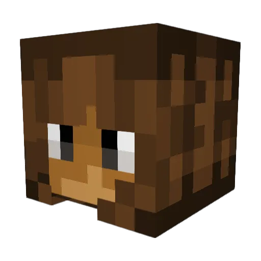 ___ZZ___ Minecraft avatar head, 3D render