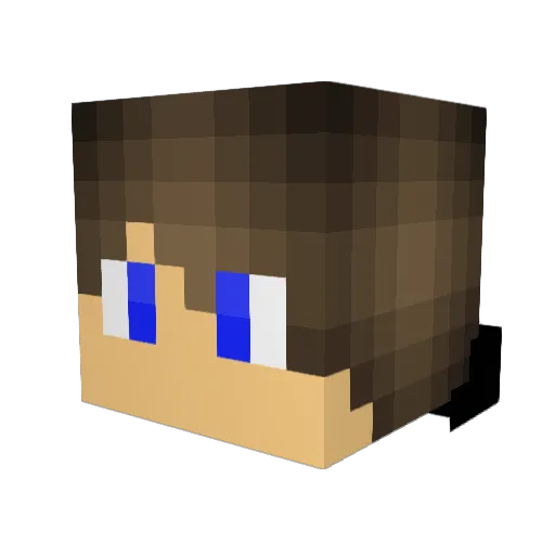 ____0_O_____ Minecraft avatar head, 3D render