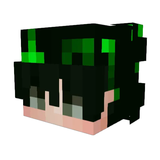 ____5___________ Minecraft avatar head, 3D render