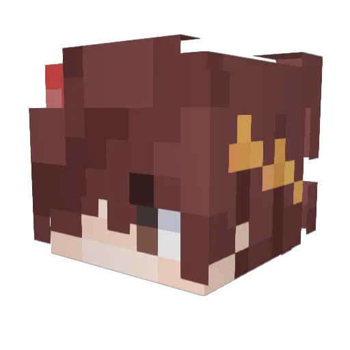 ____CD____ Minecraft avatar head, 3D render