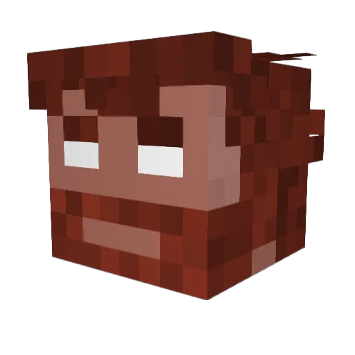 ____Canada____ Minecraft avatar head, 3D render