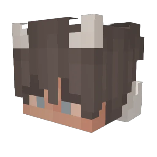 ____Cosmos____ Minecraft avatar head, 3D render