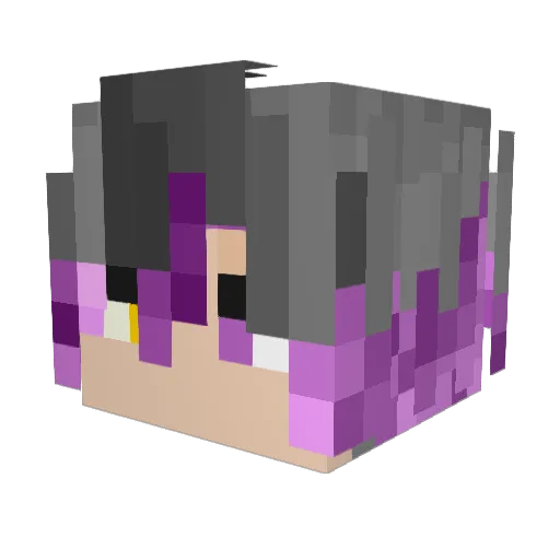 ____F4ST____ Minecraft avatar head, 3D render