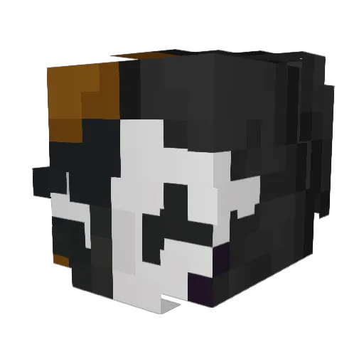 ____JeS_TeR____ Minecraft avatar head, 3D render