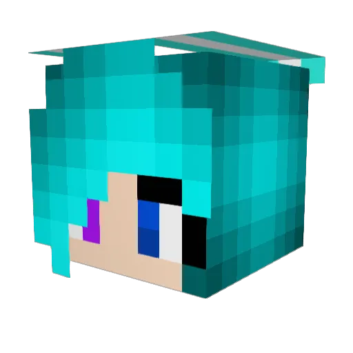____Moon____ Minecraft avatar head, 3D render