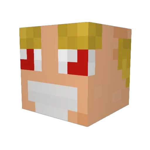 ____Robin_____ Minecraft avatar head, 3D render