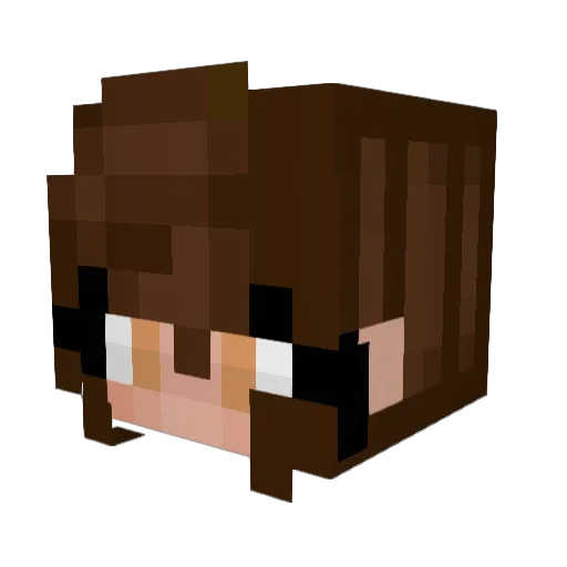 ____Universe____ Minecraft avatar head, 3D render