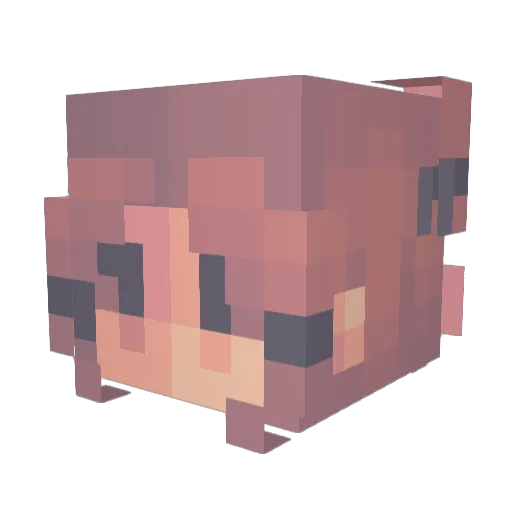 _____Kali_____ Minecraft avatar head, 3D render