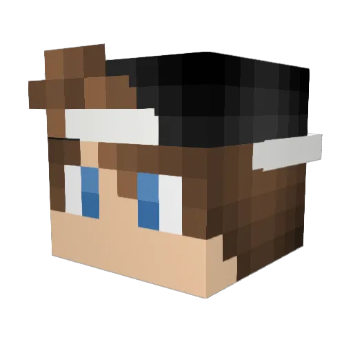_____Moe Minecraft avatar head, 3D render