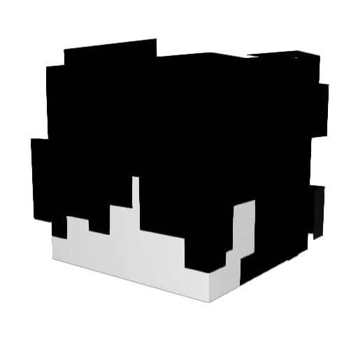 ______WHAT______ Minecraft avatar head, 3D render