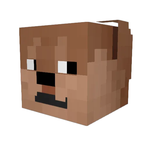 ______________ Minecraft avatar head, 3D render