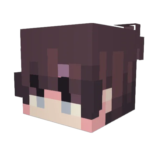 _______________A Minecraft avatar head, 3D render