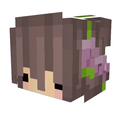 _______________s Minecraft avatar head, 3D render