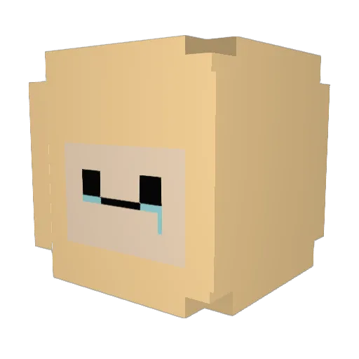 ______warp_pvp Minecraft avatar head, 3D render