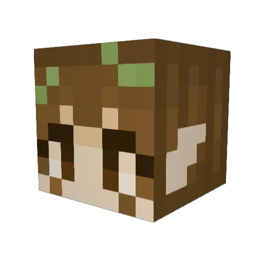 ____alexa____ Minecraft avatar head, 3D render