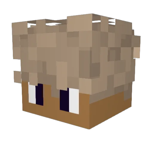 ____o_O___ Minecraft avatar head, 3D render
