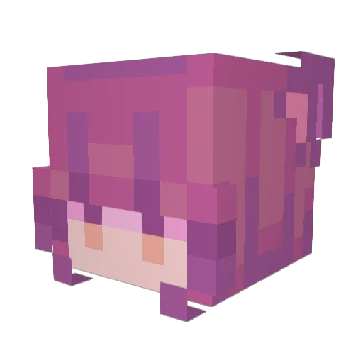 ____stepbro__ Minecraft avatar head, 3D render