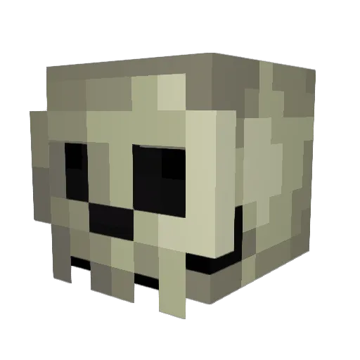 ____wo Minecraft avatar head, 3D render