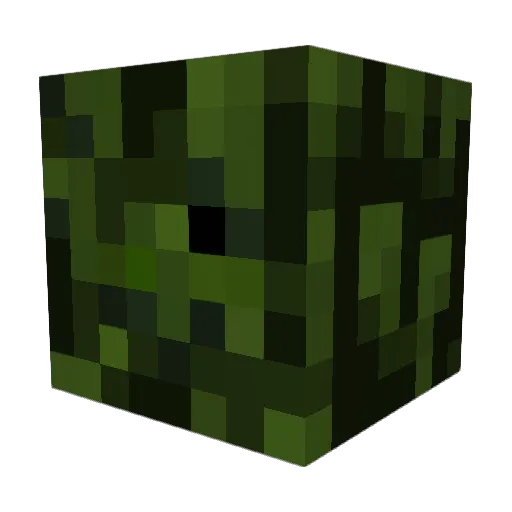 ___awp Minecraft avatar head, 3D render