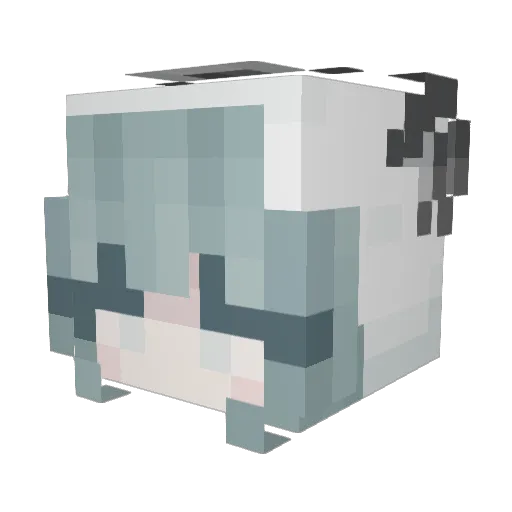 ___grace___ Minecraft avatar head, 3D render