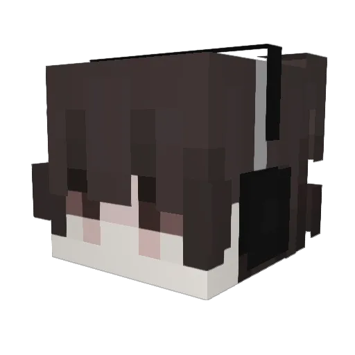 ___ley___ Minecraft avatar head, 3D render