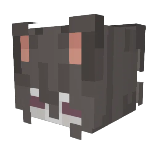 ___monday___ Minecraft avatar head, 3D render