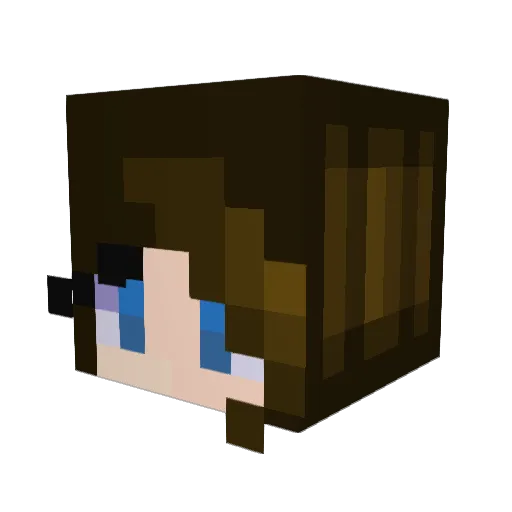 ___pudding__ Minecraft avatar head, 3D render