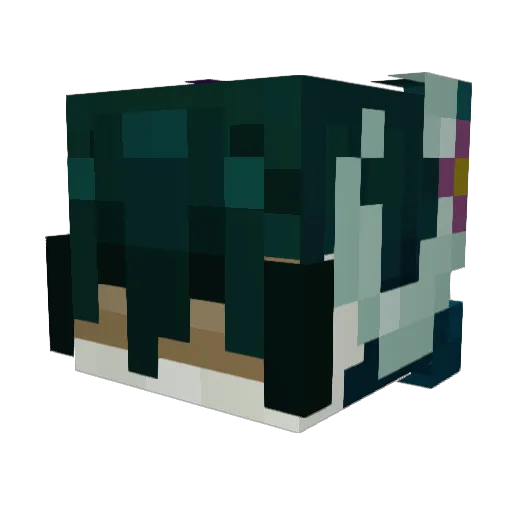 ___salmon__ Minecraft avatar head, 3D render