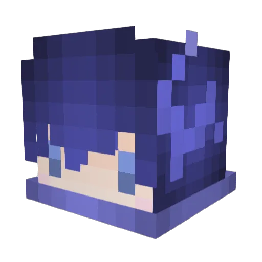 ___sky Minecraft avatar head, 3D render