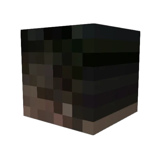 ___weston___ Minecraft avatar head, 3D render