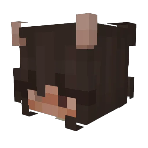__ahtohallan__ Minecraft avatar head, 3D render
