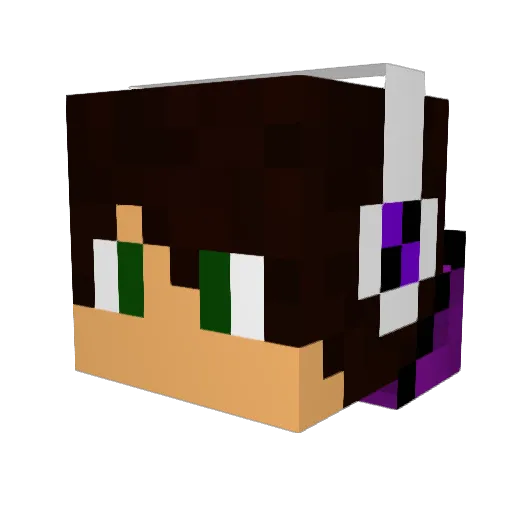 __aidan433__ Minecraft avatar head, 3D render