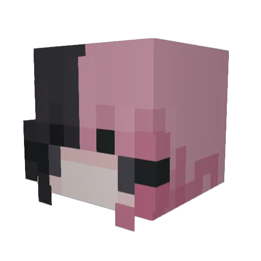 __b2 Minecraft avatar head, 3D render