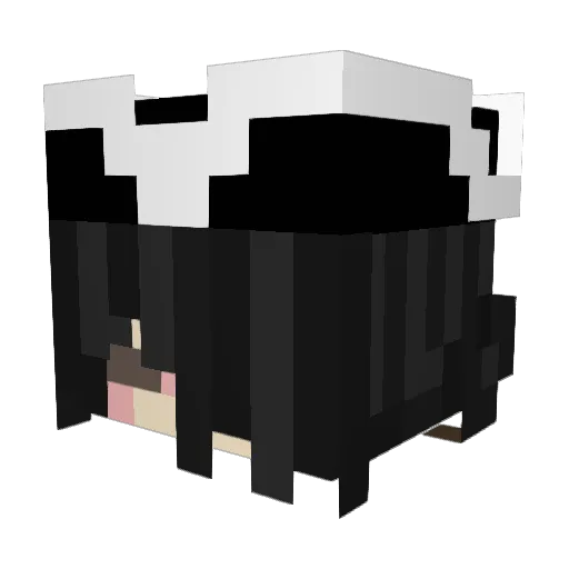 __b_u_g__ Minecraft avatar head, 3D render