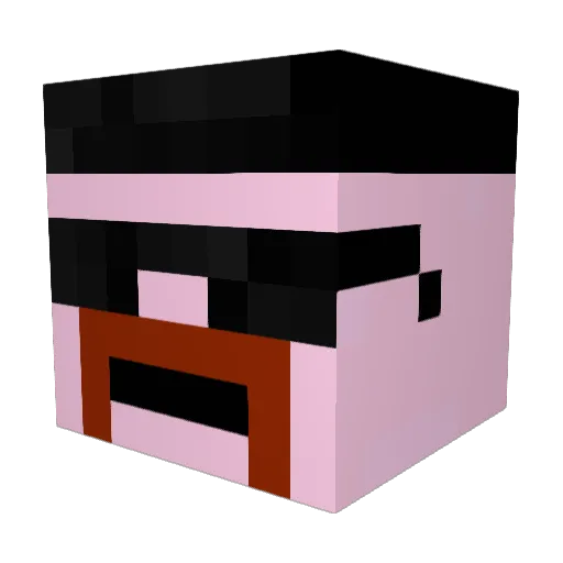 __bbo__ Minecraft avatar head, 3D render