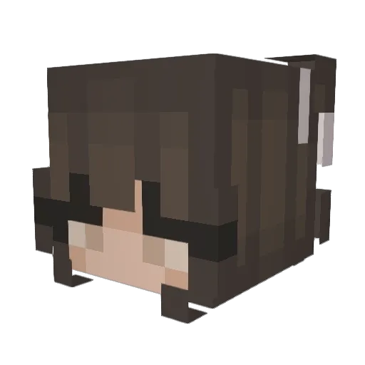 __belly__part2 Minecraft avatar head, 3D render