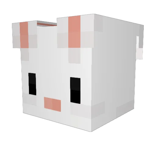__bingbong Minecraft avatar head, 3D render