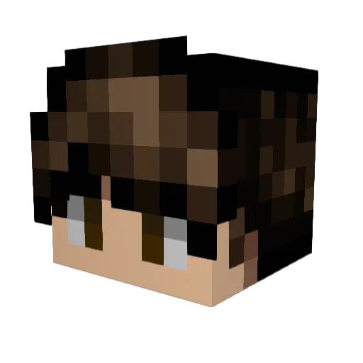 __blujay__ Minecraft avatar head, 3D render