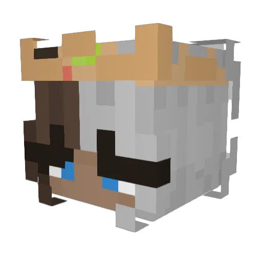 __brielle Minecraft avatar head, 3D render