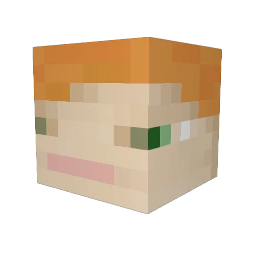 __cca___ Minecraft avatar head, 3D render