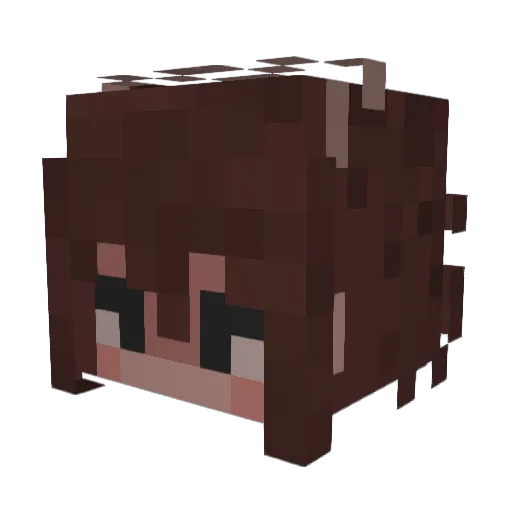 __d3rlord3___ Minecraft avatar head, 3D render