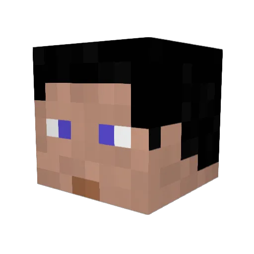 __dani99 Minecraft avatar head, 3D render