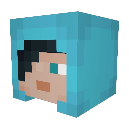 __didi Minecraft avatar head, 3D render