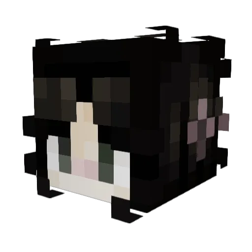 __heathen__ Minecraft avatar head, 3D render