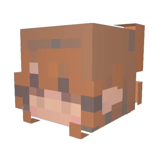 __jaggedbuzz Minecraft avatar head, 3D render