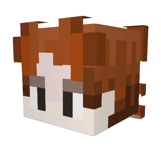 __jame___ Minecraft avatar head, 3D render
