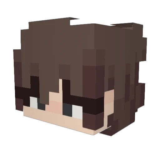__labyrinth Minecraft avatar head, 3D render