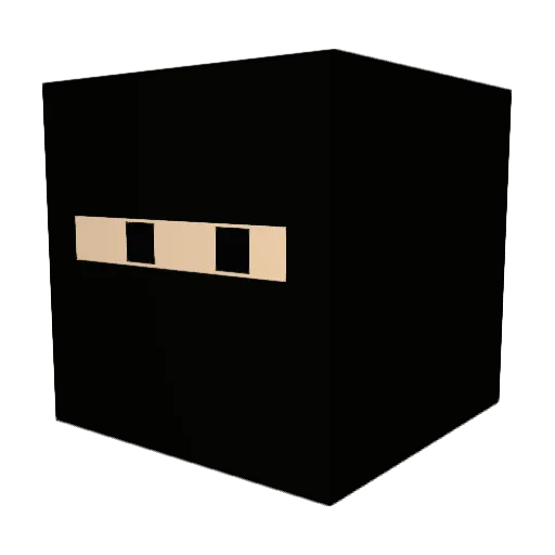 __n1njA__ Minecraft avatar head, 3D render