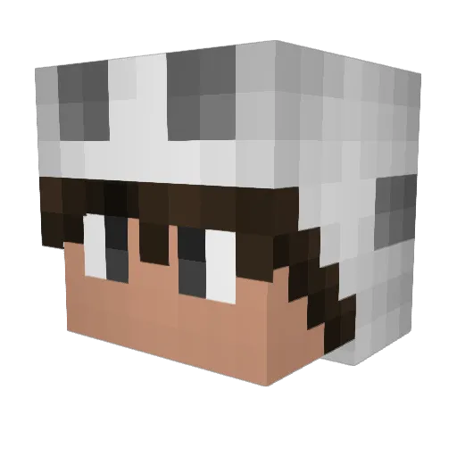 __nexxus Minecraft avatar head, 3D render