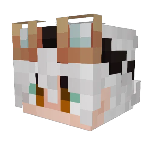 __nightfox Minecraft avatar head, 3D render